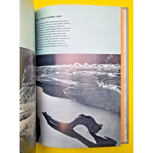 THE LIFE OF RIVERS AND STREAMS OUR LIVING WORLD OF NATURE SERIES 1967 b1 - Picture 4 of 15